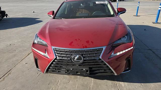 Lexus NX 2021