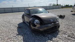 Volkswagen Beetle 2013