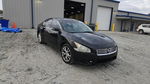 Nissan Maxima 2013