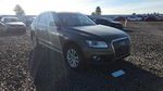 Audi Q5 2014