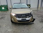 Ford Edge 2013