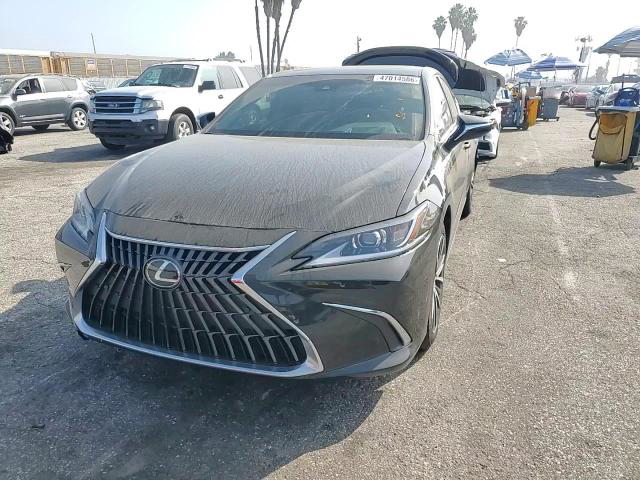Lexus ES 2024