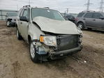 Ford Escape 2011