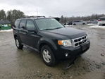 Ford Escape 2012