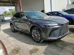 Lexus RX 2025