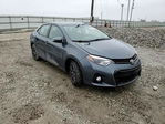 Toyota Corolla 2015