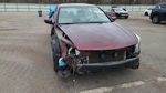 Honda Accord 2010