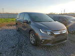 Honda Odyssey 2019