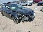 Nissan Maxima 2017