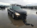 Honda Accord 2007
