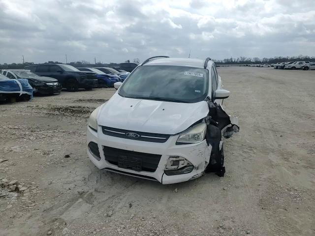 Ford Escape 2014