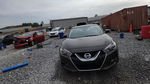Nissan Maxima 2016