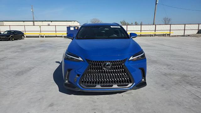 Lexus NX 2022
