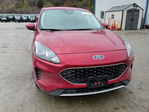 Ford Escape 2020