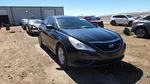 Hyundai Sonata 2013