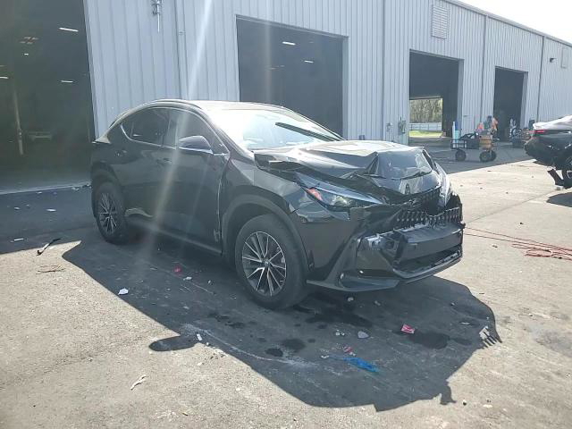 Lexus NX 2022