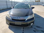 Lexus HS 2010