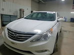 Hyundai Sonata 2013