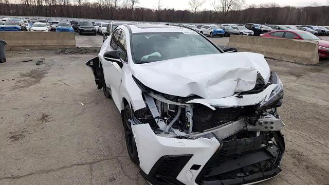 Lexus NX 2025