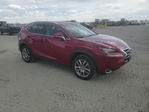 Lexus NX 2015