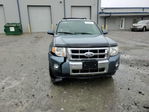 Ford Escape 2011