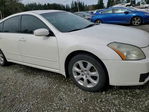 Nissan Maxima 2007