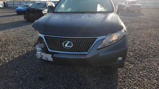 Lexus RX 2010
