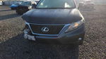 Lexus RX 2010