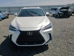 Lexus NX 2024