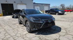 Lexus NX 2018