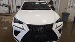 Lexus NX 2020