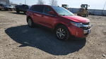 Ford Edge 2011