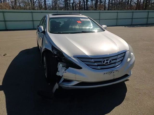 Sonata 2013