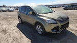 Ford Escape 2013