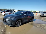 Lexus NX 2023