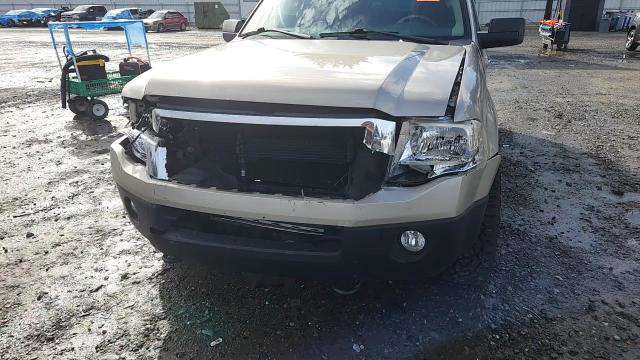 Ford Expedition 2007