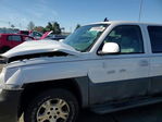 Avalanche 2006