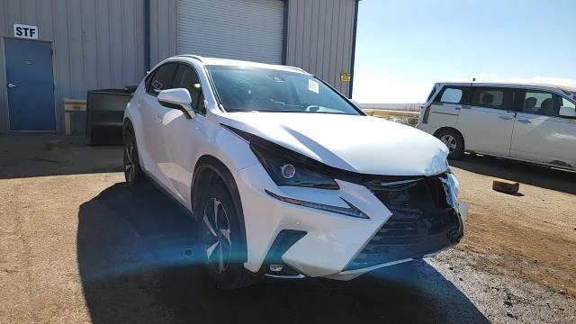 Lexus NX 2019