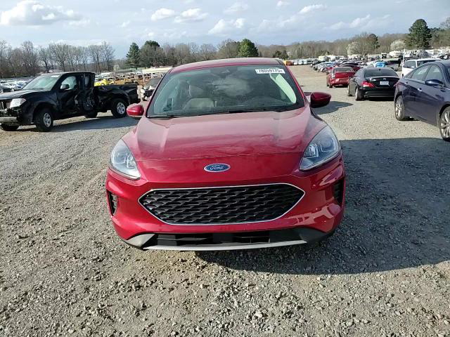 Ford Escape 2021