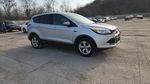 Ford Escape 2013