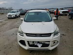 Ford Escape 2013