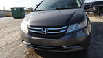 Honda Odyssey 2016