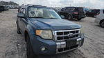 Ford Escape 2011