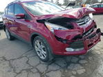 Ford Escape 2014