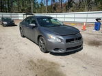 Nissan Maxima 2014