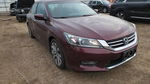 Honda Accord 2013