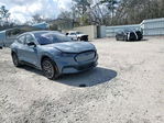 Ford Mustang Mach-E 2024