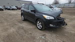 Ford Escape 2014