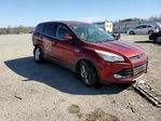Ford Escape 2014