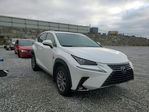 Lexus NX 2020